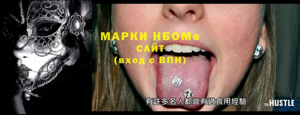 индика Инта