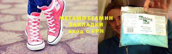 индика Инта