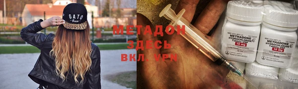 индика Инта