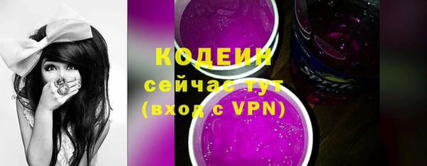 индика Инта