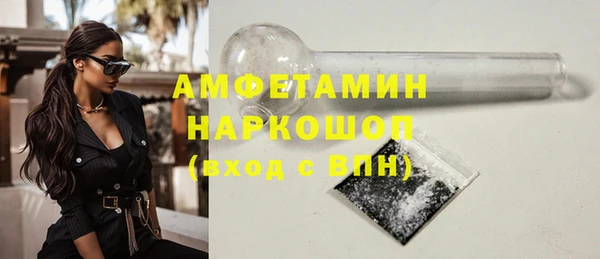 индика Инта