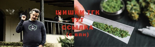2c-b Инсар