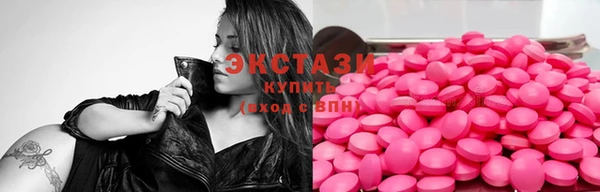 индика Инта