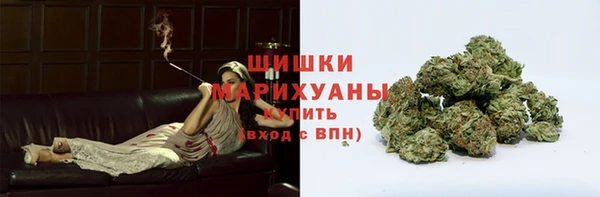 индика Инта
