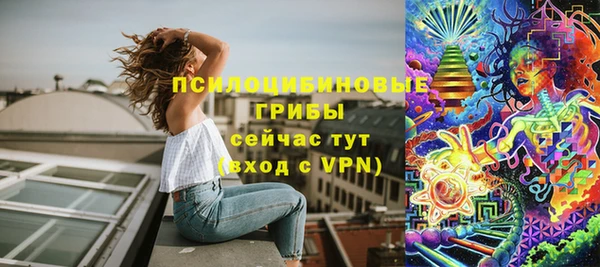 индика Инта