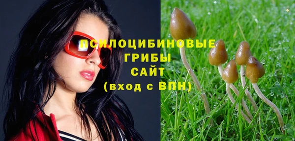 2c-b Инсар