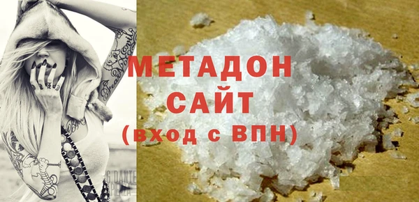 индика Инта