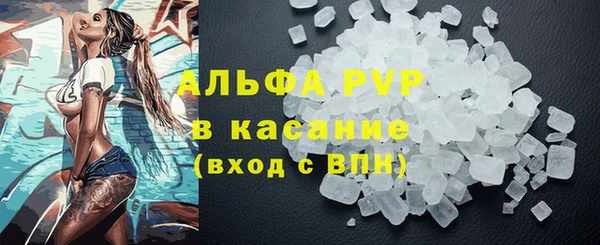 2c-b Инсар