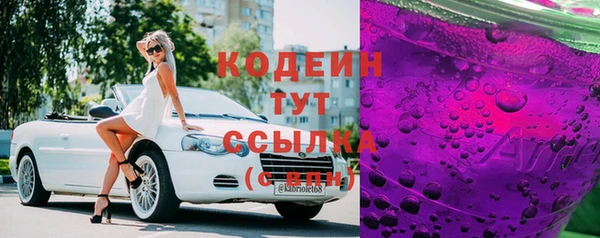 2c-b Инсар