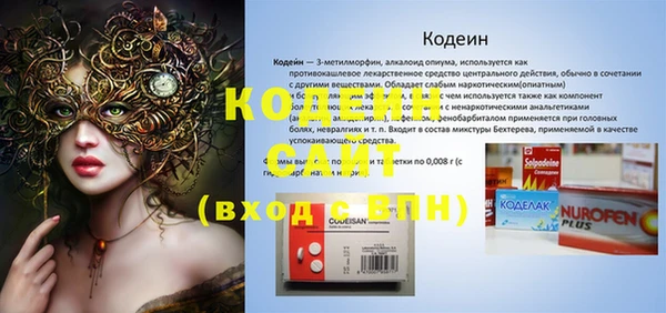 2c-b Инсар