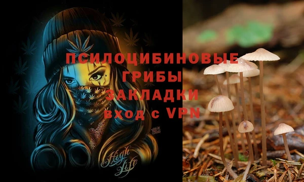 COCAINE Каменногорск