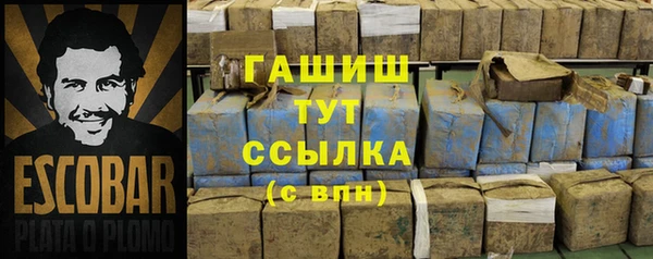 индика Инта