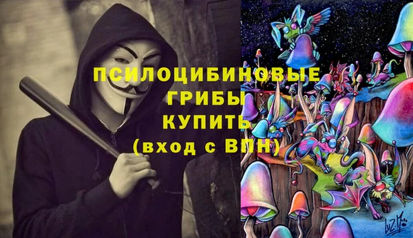 индика Инта